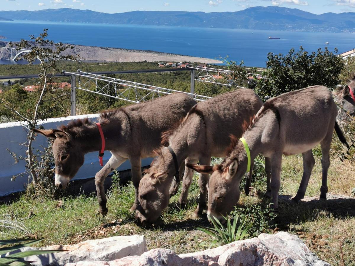 Villa Suzi Donkey Farm With Seaview Smrika Exterior photo