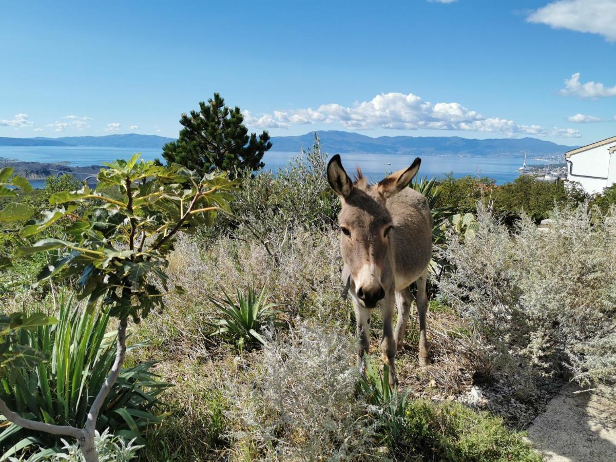 Villa Suzi Donkey Farm With Seaview Smrika Exterior photo