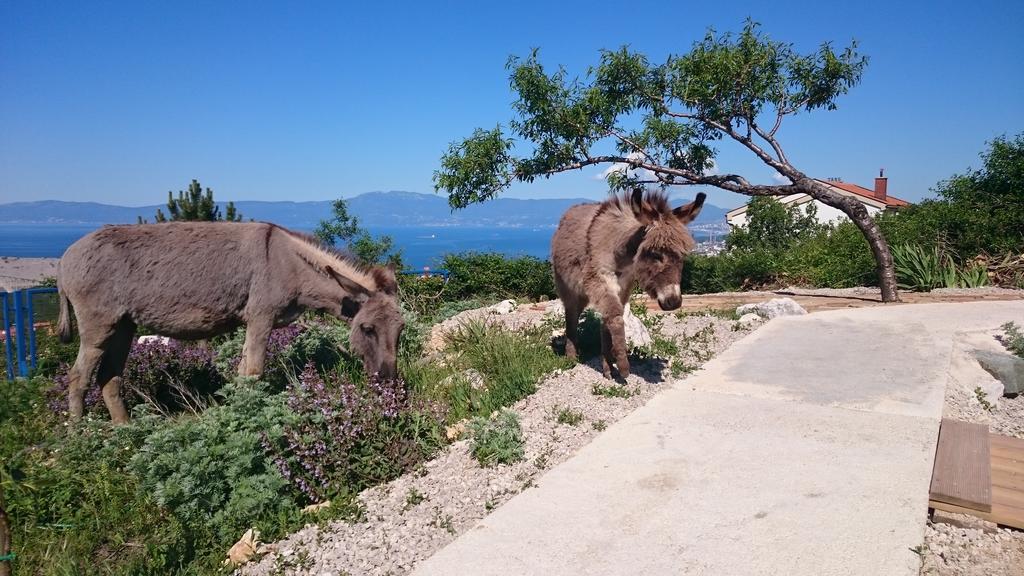 Villa Suzi Donkey Farm With Seaview Smrika Exterior photo