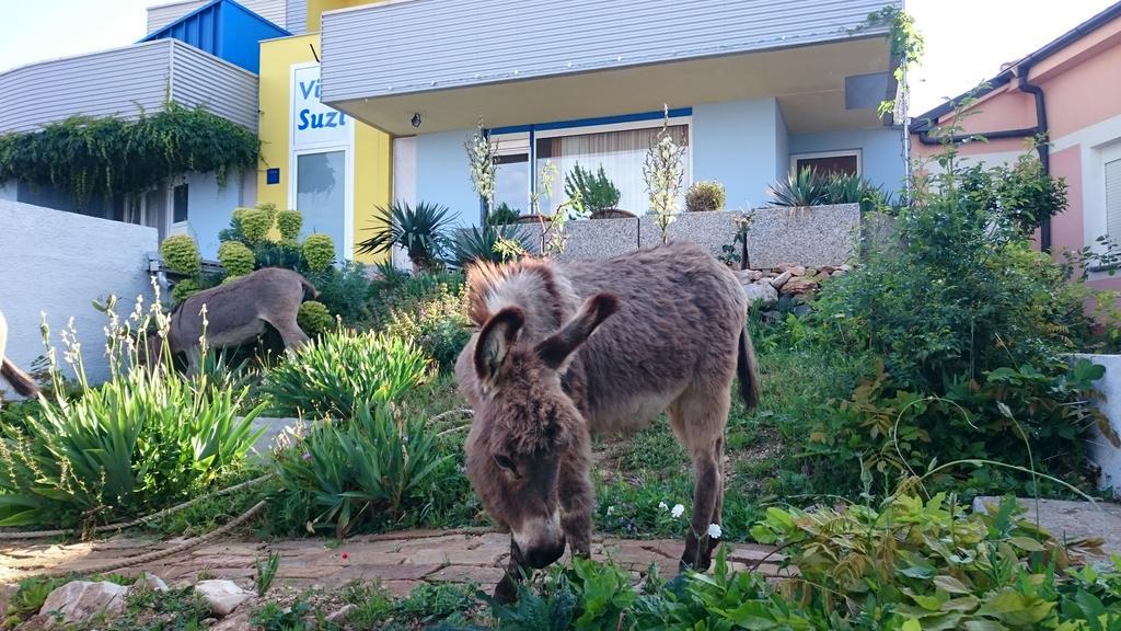 Villa Suzi Donkey Farm With Seaview Smrika Exterior photo