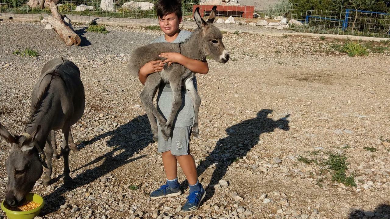 Villa Suzi Donkey Farm With Seaview Smrika Exterior photo